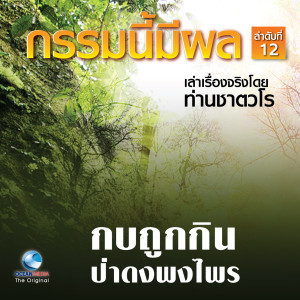 Listen to ป่าดงพงไพร song with lyrics from สมณะเสียงศีลท่านชาตวโร