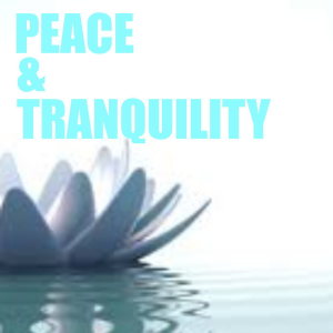 Various Artists的專輯Peace & Tranquility