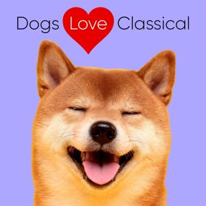 Dogs Love Classical的專輯Beautiful, Peaceful Classical Piano Music