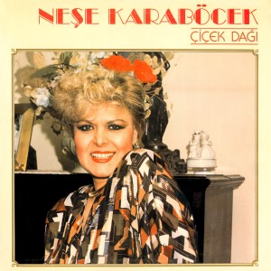 ดาวน์โหลดและฟังเพลง Bir Öptüm (Yağmur) พร้อมเนื้อเพลงจาก Neşe Karaböcek