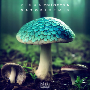 Psilocybin (Satori Remix)