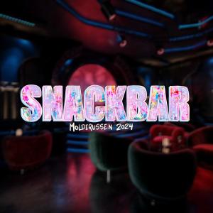 อัลบัม Snackbar 2024 (Hjemmesnack) (feat. Vatne, Syse, Sandhaug & Juberg) ศิลปิน Underwerk