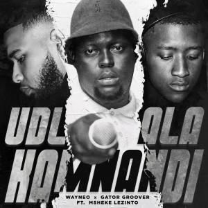Album Udlala Kamnandi (Radio Edit) from Wayne O