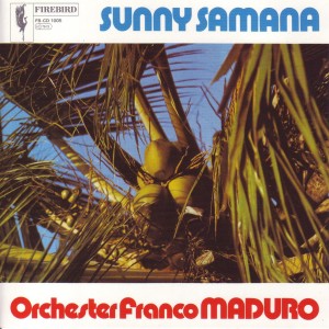 收聽Orchester Franco Maduro的Wildfire歌詞歌曲