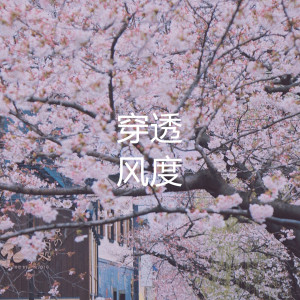 Dengarkan 穿透 (抖音热播版) lagu dari 风度 dengan lirik
