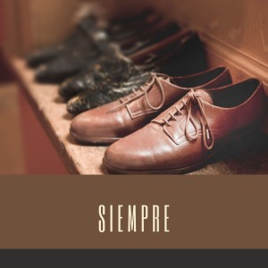Listen to Siempre song with lyrics from The Fly