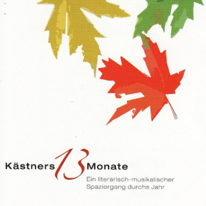 Listen to Januar instrumental song with lyrics from Martin Seidler