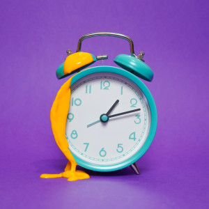 Listen to circadian rhythm song with lyrics from Bitty
