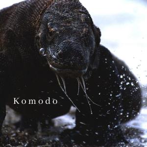 ดาวน์โหลดและฟังเพลง Komodo พร้อมเนื้อเพลงจาก Trapoeta