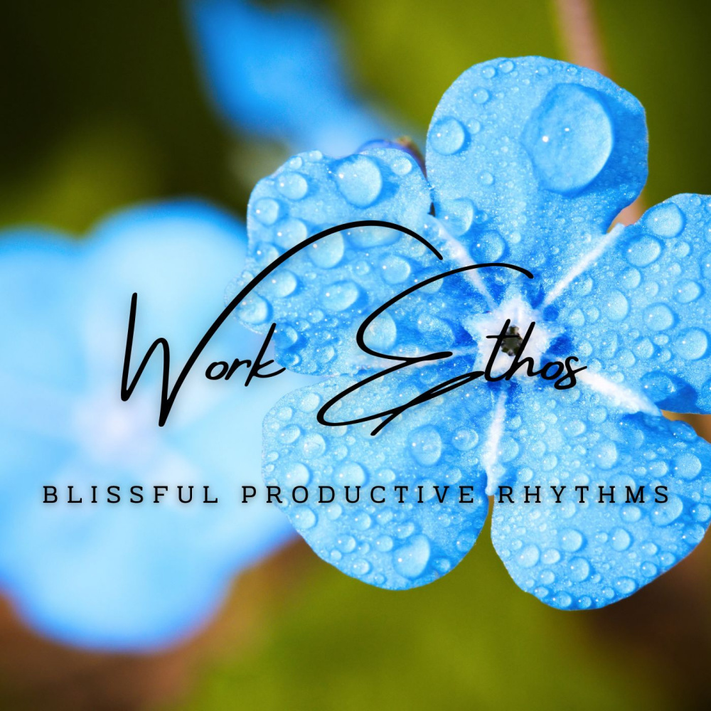 Renewed Workplace Serenity