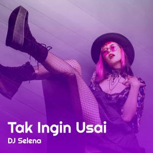 Dengarkan Tak Ingin Usai (Remix Thailand) lagu dari DJ Selena dengan lirik