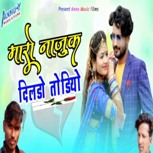 Listen to Mharo Najuk Dildo Todiyo song with lyrics from Nathulal Gosundi