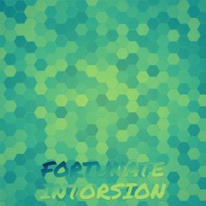 Album Fortunate Intorsion oleh Various Artists