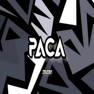 Listen to Paca (Explicit) song with lyrics from Jeeby