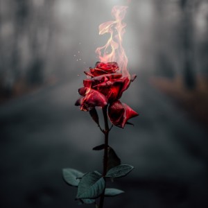 Listen to Loss (Explicit) song with lyrics from Tropdavinci