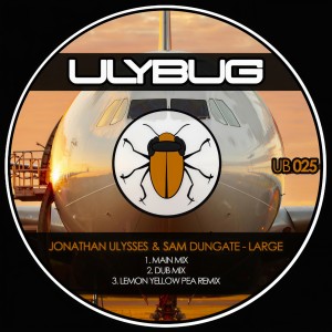 ดาวน์โหลดและฟังเพลง Large (Dub Mix) พร้อมเนื้อเพลงจาก Jonathan Ulysses