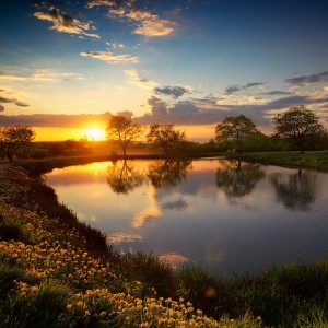 Muisca Relajante的專輯Paisajes Sonoros Lofi Para Una Relajación Pacífica