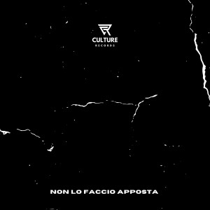 Album Non lo faccio apposta (Explicit) from Dry Ice