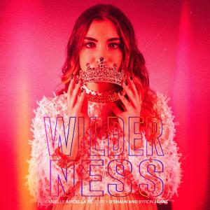 Listen to Wilderness song with lyrics from Danielle Apicella