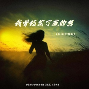 Album 我曾经发了疯的想（国闽合唱版） from 那艺娜