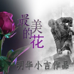 明华小吉的专辑最美的花