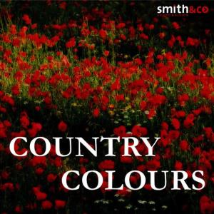 The Mick Lloyd Connection的專輯Country Colors