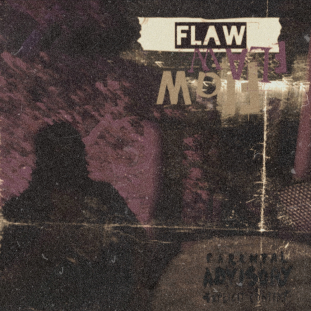 Flaw (Explicit)
