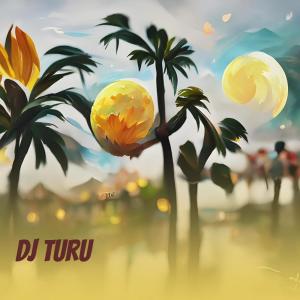 Listen to Dj Turu song with lyrics from Agung