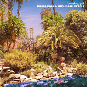 ดาวน์โหลดและฟังเพลง Something Real พร้อมเนื้อเพลงจาก Indigo Pool