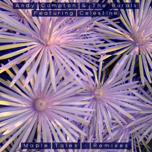 收聽Andy Compton的Maple Tales (Anders Magic Fingers Mix)歌詞歌曲