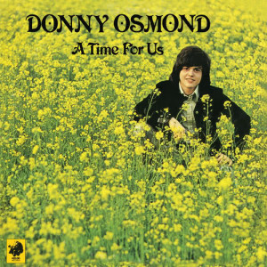 ดาวน์โหลดและฟังเพลง A Boy Is Waiting พร้อมเนื้อเพลงจาก Donny Osmond