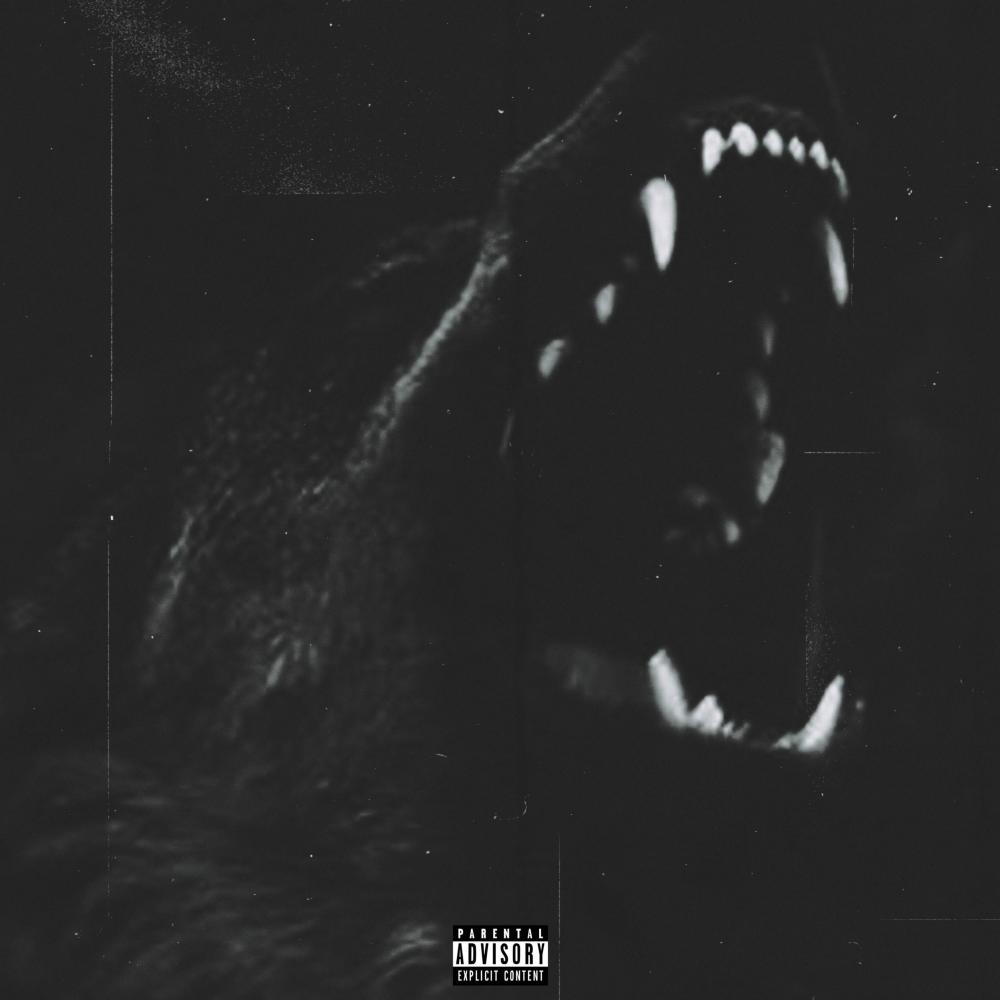 Darkside (Explicit)