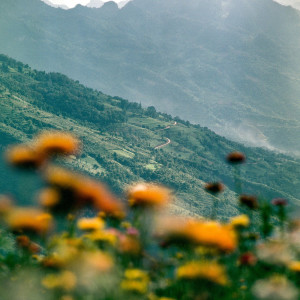 ดาวน์โหลดและฟังเพลง rewind พร้อมเนื้อเพลงจาก METAHESH