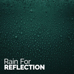 ดาวน์โหลดและฟังเพลง Rain in the Yard พร้อมเนื้อเพลงจาก Rain Sounds