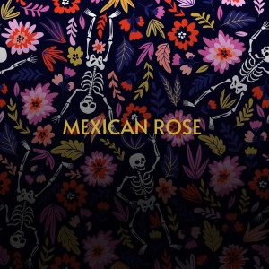 Dengarkan lagu Mexican Rose nyanyian Freddy Fender dengan lirik