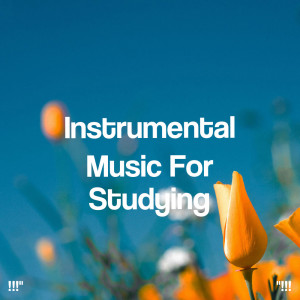 Spa Relaxation的專輯"!!! Instrumental Music For Studying !!!"