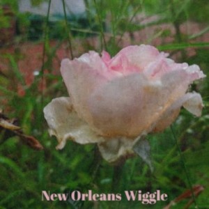 Album New Orleans Wiggle oleh Various Artist