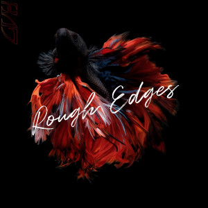 Album Rough Edges from CVX