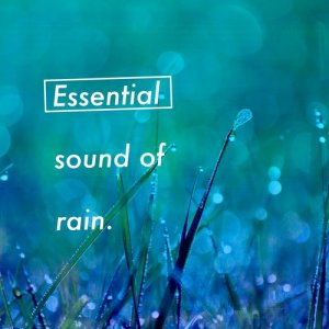 收聽Outside Broadcast Recordings的Heavy Downpour歌詞歌曲