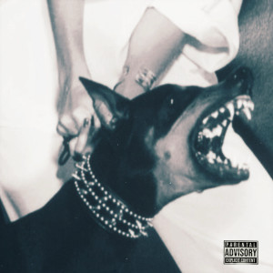 Album Barking up the Wrong Tree (Explicit) from Amir Ali