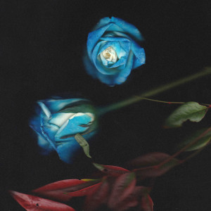 Listen to Drunk blues song with lyrics from 규영