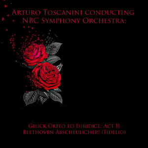 Robert Shaw的专辑Arturo toscanini conducting NBC symphony orchestra: gluck orfeo ed euridice: act II / Beethoven abscheulicher! (Fidelio)