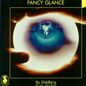 Stu Goldberg的专辑Fancy Glance