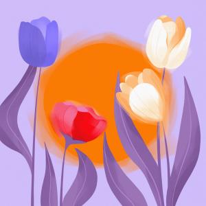 default playlist img