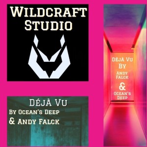 Listen to Déjà Vu (Extended Mix) song with lyrics from Andy Falck