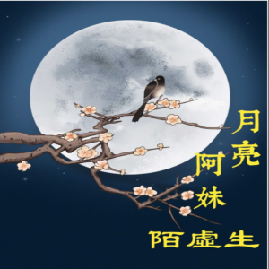 Listen to 月亮阿妹 song with lyrics from 陌虚生