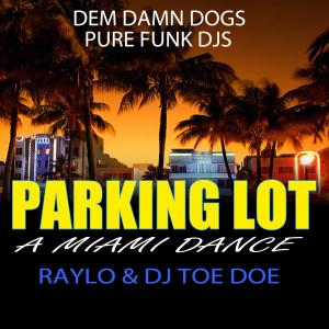 收聽Raylo的Parking Lot (feat. Dj Toe Doe)歌詞歌曲