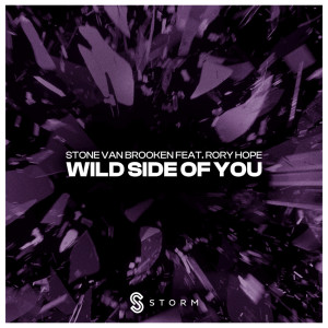 收听Stone Van Brooken的Wild Side Of You (Extended Mix)歌词歌曲
