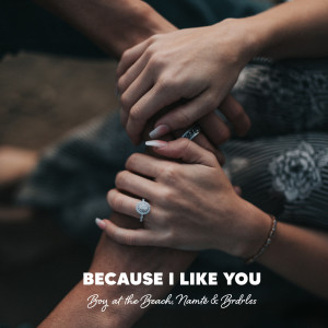 ดาวน์โหลดและฟังเพลง Because I Like You พร้อมเนื้อเพลงจาก Boy At The Beach