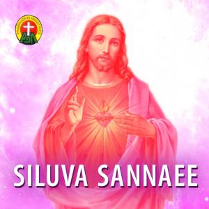 S. P. Sailaja的专辑Siluva Sannaee